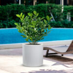 immagine-2-divina-garden-vaso-in-resina-da-esterno-interno-per-piante-tondo-cilindrico-di-design-d-36x35h-modigliani-bianco-ean-8056157808923