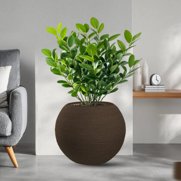 Divina Garden Binnenin Binnen Hars Vaas voor Planten Design Bol D.40x33h Botticelli Marrone