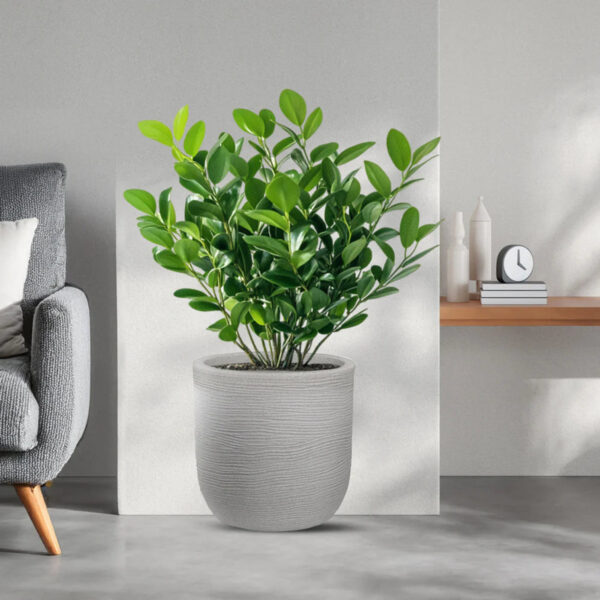 Divina Garden Binnenin Hars Vaas voor Planten Design Cilinder D.35x34h Raffaello Beige